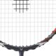 victor-ars-100-x