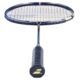 BabolatSateliteMaster-3