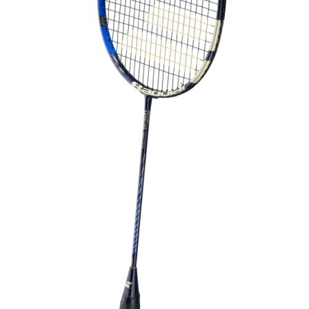 BabolatSateliteMaster-4