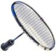 BabolatSateliteMaster-5