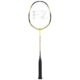 Forza-Precision-TI-X10-Badmintonketcher