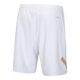 Li-Ning-AAPV041-2-International-Shorts-White-2