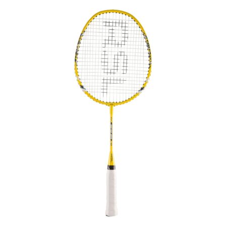 RSL Pro 450 Mini